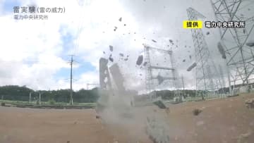 木の下では“側撃”受ける可能性…落雷から命を守る『3つの方法』近くに避難する場所がなくてもできること