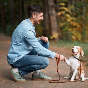 犬が『賢く育つ』にはどうしたらいい？生活に取り入れたいコツや接し方をご紹介