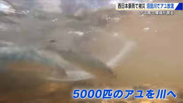 「アユよ大きくなって戻って来い ふるさとの川に」西日本豪雨で被災の広島・沼田川でアユの放流「もとの姿にもどりつつある」