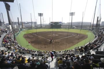 【ウエスタン】阪神、6対3でソフトバンクに勝利！楠本泰史が2安打2打点、ヘルナンデスが1号2ラン放つ