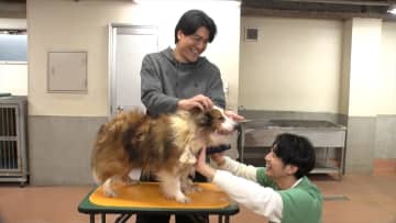 SixTONES森本慎太郎が保護犬トリミング企画に初参戦『嗚呼!!みんなの動物園』