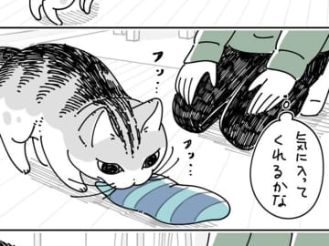 新しいオモチャを気に入った猫　遊び方のクセが強くて…？「笑った」「なぜそうなる」