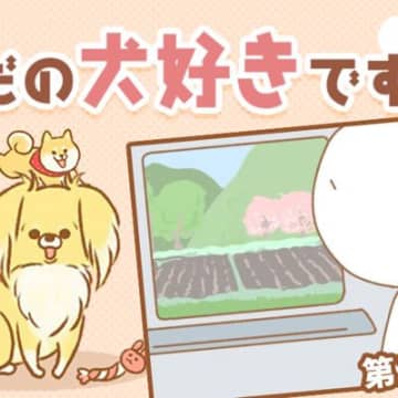 ただの犬好きです。【第311話】「帰省」