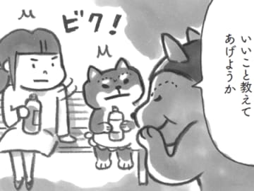 「合わない人だっているよね」。眉毛のセンパイ、いいこと言うなぁ～！【柴犬食堂#19】