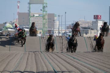 ばんえい競馬、5月17日から再開…延期の重賞も同日実施へ