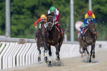 ブリッツファングの競走馬登録抹消…門別へ移籍予定