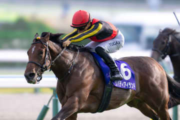 リバティアイランドの競走馬登録抹消