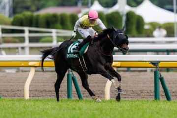 【エプソムC】セイウンハーデスがレコードV