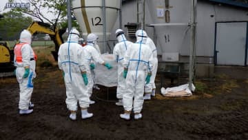 群馬県で「豚熱」 約460頭を殺処分　ことし県内4例目 9日に確認