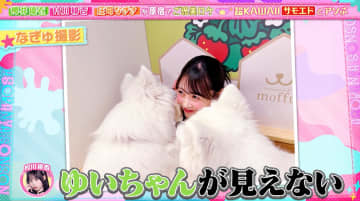 “犬になりたい”“天国かここは…”サモエドに溺れるFRUITS ZIPPER・櫻井優衣にSNSで反響殺到！