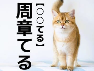 【周章てる】なんて読む？「シュウショウテル」ではありませんよ！【読めそうで読めない漢字クイズ】