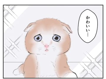 【漫画】縁を切った友人とペットショップで遭遇「寂しいんだ」【妻がこどもを欲しがらない Vol.21】