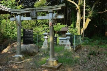 『姿を見ただけで不幸になる神？』茨城に伝わる祟り神・夜刀神の伝説とは