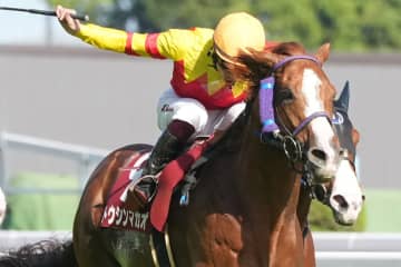 【京王杯SC】横山武「終いの弾けは良かった」トウシンマカオが快勝で重賞5勝目