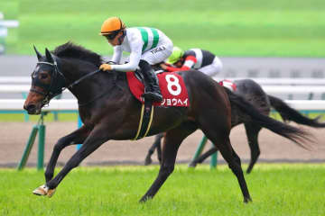 【京都新聞杯】ショウヘイが鮮やかに抜け出す…武豊トッピボーンは4着