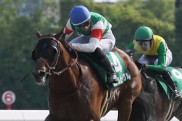 【ユニコーンS】吉村誠「馬が本当に強かった」カナルビーグルが東京ダービー優先出走権獲得