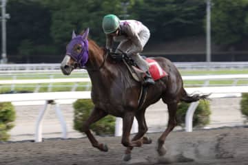 【高知・春野特別】5番人気サンライズグリットが豪快まくり！3馬身差の完勝
