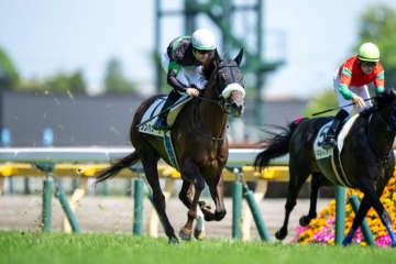 【東京7R】単勝1.2倍 シンハナーダが快勝…レースは少頭数5頭立て