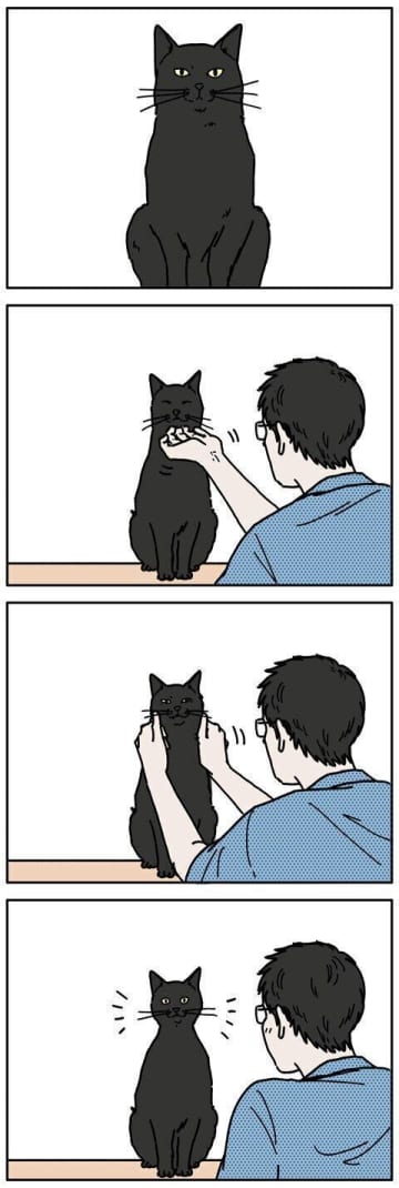 猫は思ったより小顔【男の猫道】ねこのきもちWEB MAGAZINE限定話 vol.209