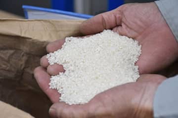 子育て世帯に「おこめ券」　茨城・日立市　1世帯4400円分、無償配布
