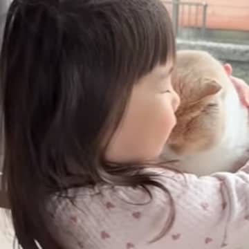 『猫への愛が止まらない』2歳の女の子がとった行動…まさかの可愛すぎるやり取りに「信頼感が伝わってくる」「ただただ尊い」と62万再生
