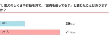【調査】犬も「仮病」を使うの!?　飼い主さんが目撃した愛犬の気になるしぐさ・行動とは