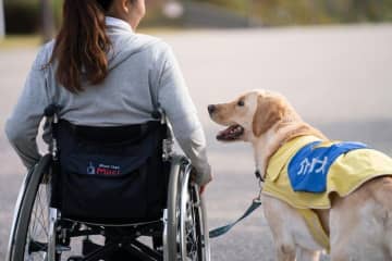 全国に60頭しかいない『介助犬』を知っていますか？『介助犬フェスタ2025』をチェック！