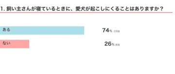 【調査】飼い主を起こしにくる犬はどれくらい？犬の行動からわかる心理を獣医師が解説！