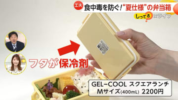 食中毒対策に！“夏仕様”「弁当箱」をリサーチ　折りたたみ可能や保冷剤一体型など最新商品が続々　作り置きには「再加熱」を