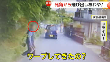 “カマ”持つ高齢者が茂みから飛び出し…「ワープしてきたの？」あわや衝突の危険な瞬間　逆走車に大型トラックが衝突寸前も