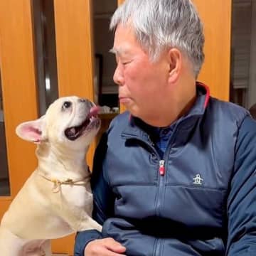 犬を連れて実家に帰省→おじいちゃんを愛しすぎていて…想像以上の『好き好き攻撃』が16万再生「熱烈アピール可愛いｗ」「羨ましい」と絶賛