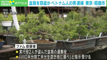 園芸店で盆栽22点を窃盗か ベトナム国籍の男を逮捕 東京・昭島市