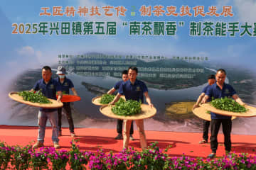 中国・武夷山市で製茶名人コンテスト