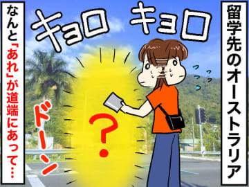 オーストラリアで「なぜ道端にあるの（泣）」使うたびに『毎回ソワソワしていたもの』とは