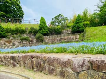 お花が綺麗！タダで楽しめるよ！