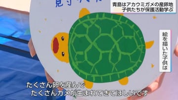 「カメがゴミを食べていることにびっくり」砂浜のゴミが与える影響を子供たちが学ぶ　アカウミガメの貴重な産卵地・青島ビーチを守る取り組み