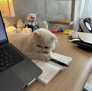 ペンを両足で押さえながら飼い主さんの仕事を見守る猫の心理は？｜獣医師解説