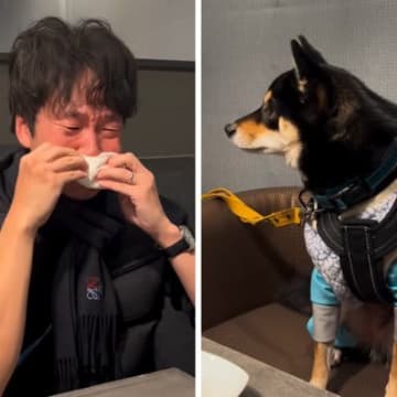 『犬の絵本』を読んで大号泣する夫→隣に座っていた犬が…悶絶必至の『尊すぎる光景』が360万再生「どうしたの？って顔が愛おしい」「素敵」