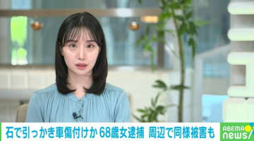 駐車中の車を石で引っかき傷付けか 68歳女を逮捕 周辺で同様の被害も 埼玉・越谷市