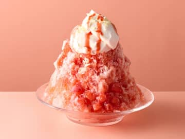 ココス「純氷ふわふわかき氷」第1弾発売。チョコミント好きのための「チョコミン党」も登場