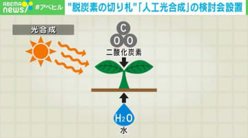 “脱炭素の切り札”「人工光合成」の実用化に向け 環境省で検討会を設置