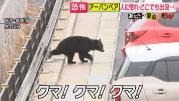 町に出たクマが好む意外なにおいは「ぬか漬け」　関西でも住宅街で目撃「どこで遭遇してもおかしくない」