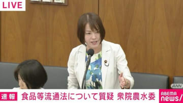 「石破総理は割と“のらりくらり”してはるが江藤大臣にはピシッと言っていただいて」れいわ・八幡愛議員がエール？ 「本当にスーパーを回られているんだな」