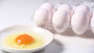 “物価の優等生”卵の価格高騰で家計直撃 飲食店は悲鳴 飼料価格の高騰と燃料高などで生産者の苦悩も続く