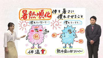 ”Let’sお天気フィットネス！”古山予報士が伝授する「暑熱順化」　汗を上手にかきながら熱中症を回避する方法とは