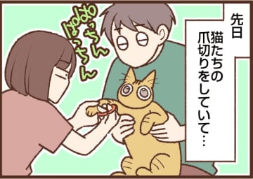 【吉川さん家の猫事情】#93話 大騒動の夜