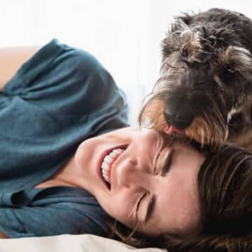 犬が飼い主を『ペロペロ舐める』心理4選　舐めてくる場所やシチュエーションごとの理由まで解説