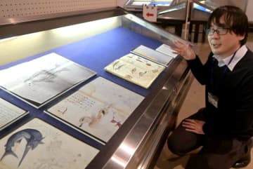 斉昭スケッチ初公開　カモや養蜂、つぶさに　水戸市立博物館　学芸員「貴重な研究材料」　茨城