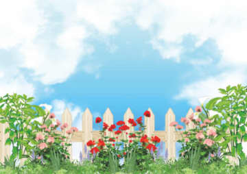 期間限定無料公開される薔薇園や日替わりイベント開催！3000株もあるガーデン、バラCaféも！【2025年 5月】薔薇の名所・イベント【滋賀県 おでかけSPOT まとめ】