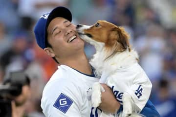 大谷、デコピン2歳の誕生日に用意した贈り物が話題　「朝から癒される」「ちゃんとMVDに」